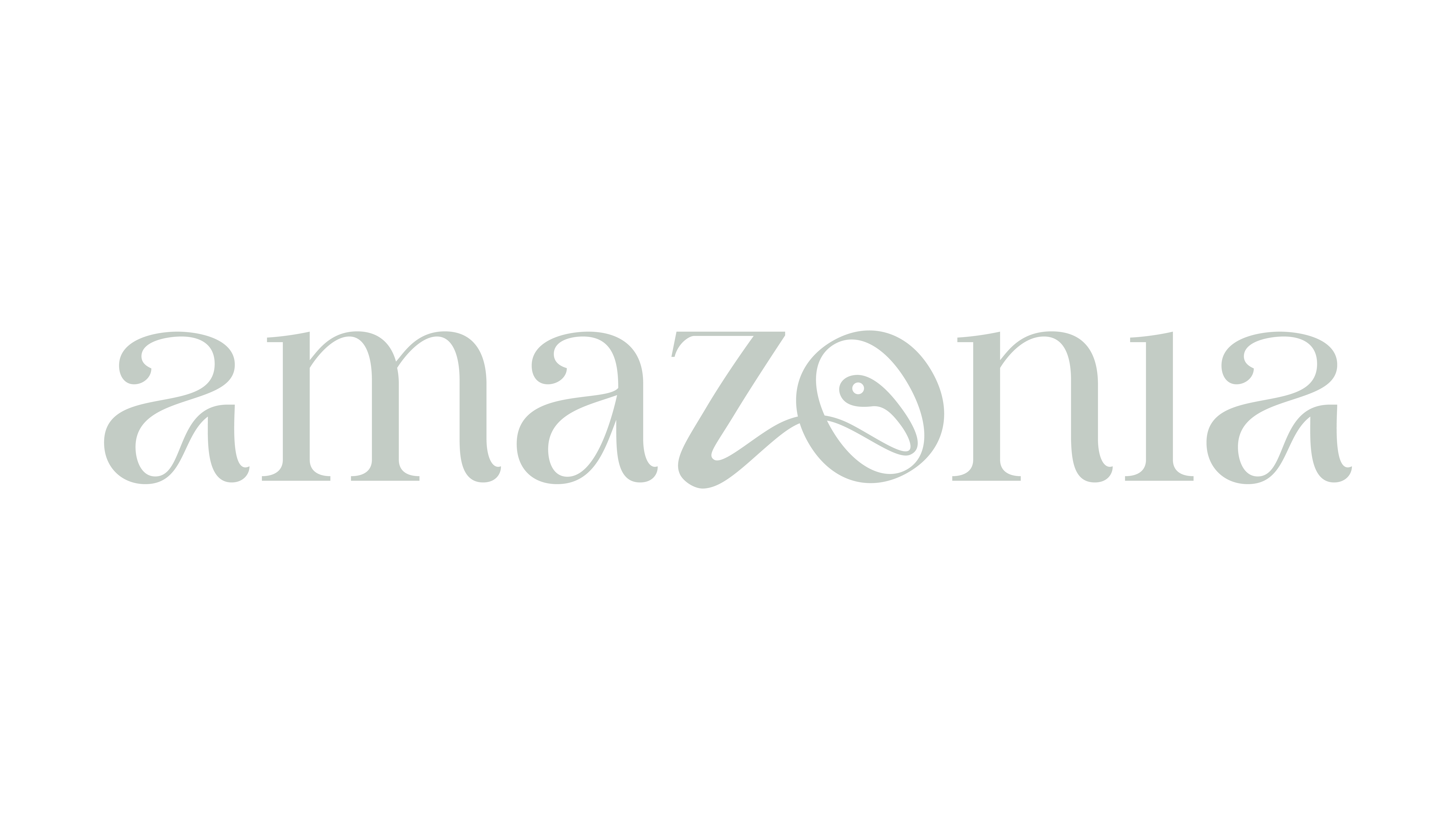 The Game Amazonia